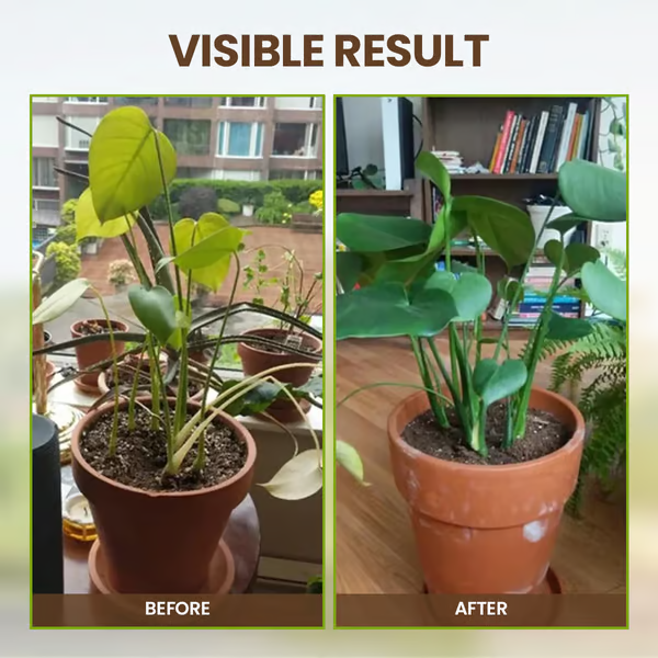 🌱 Owiwell™ Premium Soil Activator – Loosens Soil & Boosts Root Growth