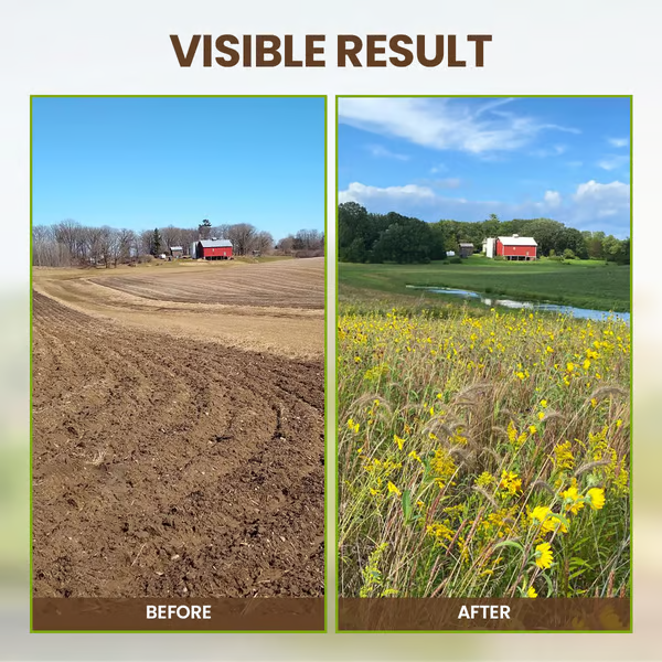 🌱 Owiwell™ Premium Soil Activator – Loosens Soil & Boosts Root Growth
