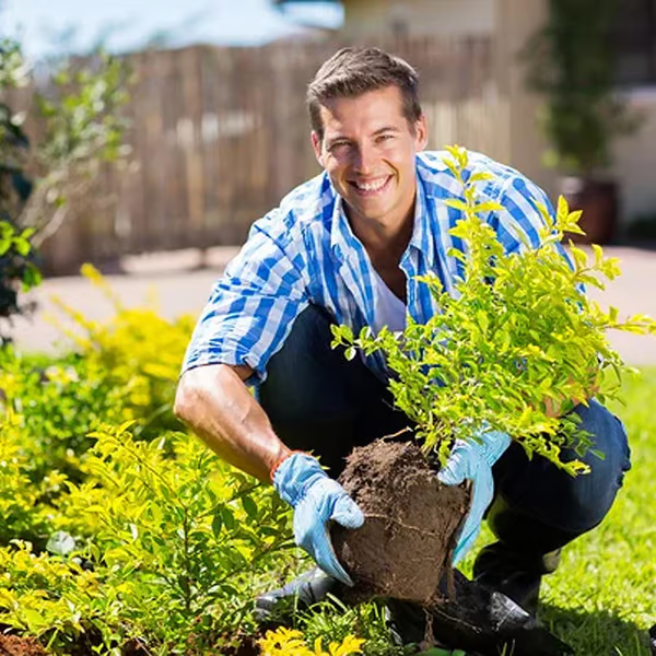 🌱 Owiwell™ Premium Soil Activator – Loosens Soil & Boosts Root Growth
