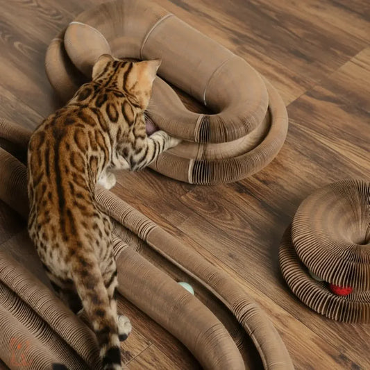 Last Sale, Be The Cat Parent Your Fur Baby Deserves! 🐾 Magic Organ Cat Scratcher | A cat paradise that is constantly changing!