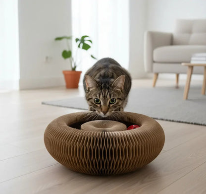 Last Sale, Be The Cat Parent Your Fur Baby Deserves! 🐾 Magic Organ Cat Scratcher | A cat paradise that is constantly changing!
