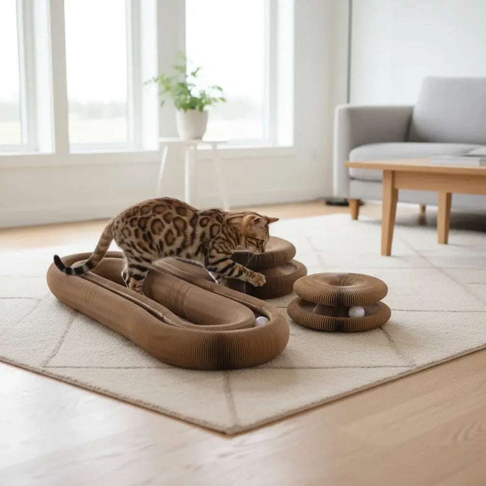 Last Sale, Be The Cat Parent Your Fur Baby Deserves! 🐾 Magic Organ Cat Scratcher | A cat paradise that is constantly changing!